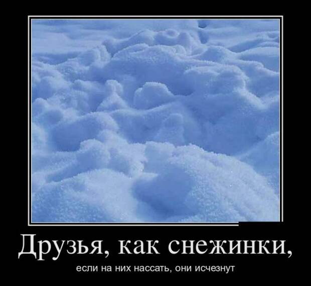 Демотиваторы (30 фото)