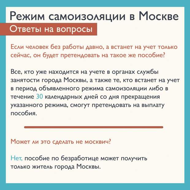 Баннер. Фото: mos.ru
