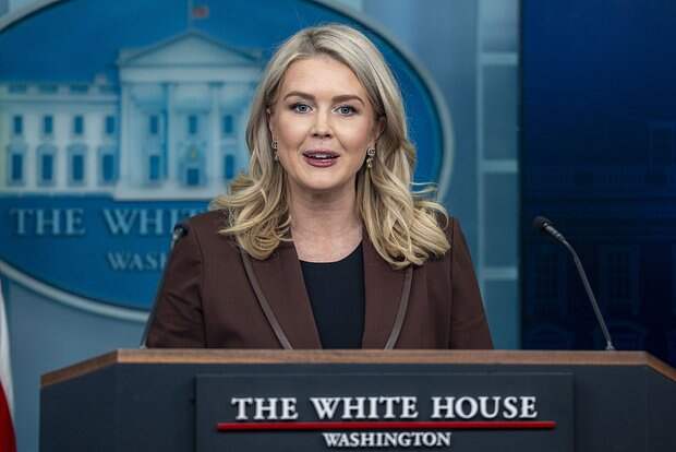 Белый дом объяснил стремление США заполучить Гренландию