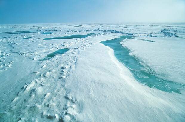 Почему лед в российской Арктике тает быстрее и интенсивнее, чем в канадской