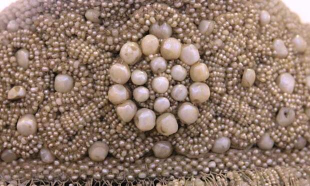 В Северном морском музее расскажут о жемчужном промысле на Севере