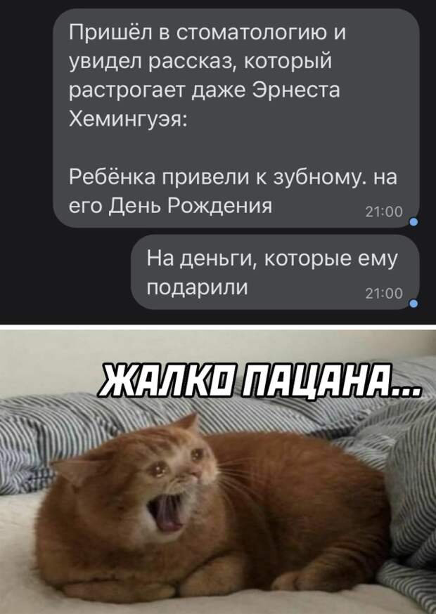 Смешные картинки 28 сентября 2021 года