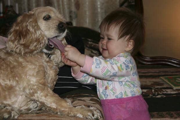 75494520_large_26_pets_and_kids