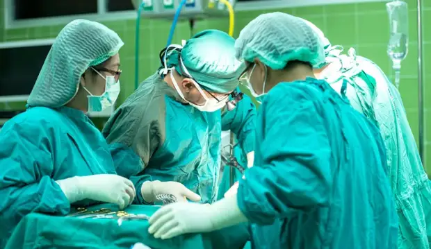 Фото: pixabay.com