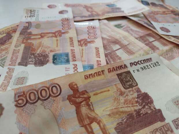 Публичные акционерные общества в России смогут получать государственные субсидии и гранты