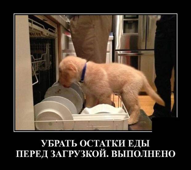 demotivatory-demotivator-smeshnye-demotivatory-demotivator-so-smyslom