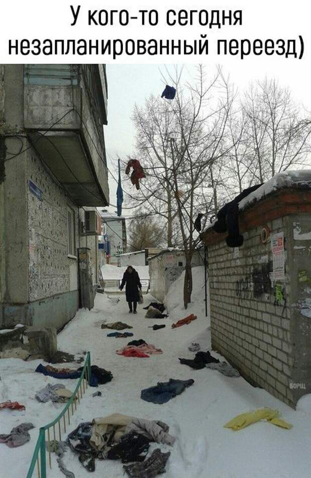Подборка картинок. Дневной выпуск (20 фото)