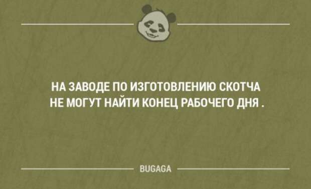 Прикольные фразы в картинках с надписями. Часть 80 (17 шт)