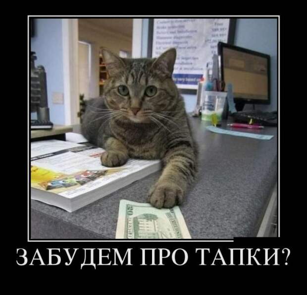 Демотиваторы (30 фото)