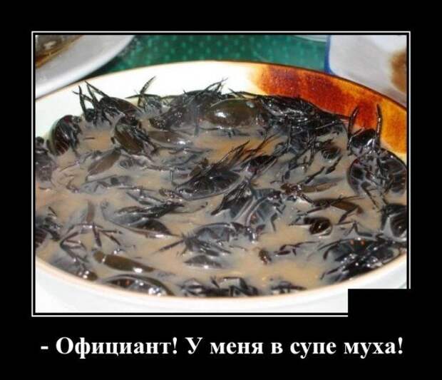 demotivatory-demotivator-smeshnye-demotivatory-demotivator-so-smyslom