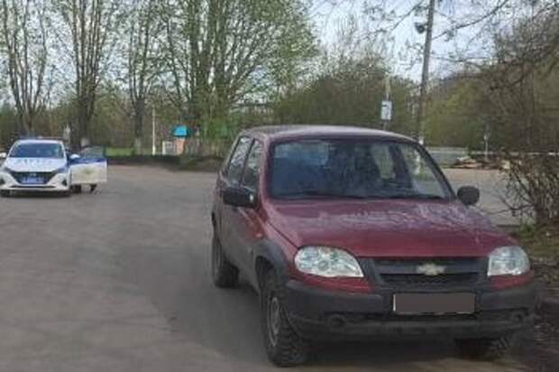 Водитель Chevrolet Niva сбил 73-летнюю пенсионерку в тульском поселке Грицовский