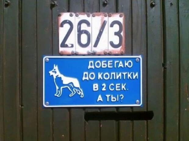 Необычные информационные таблички с калиток, ворот и заборов (15 фото)