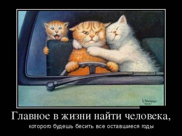 Прикольные демотиваторы для поднятия настроения (12 фото) Прикольные демотиваторы для поднятия настроения (12 фото)