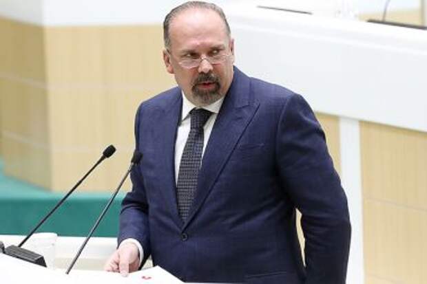 Совфед разрешил задержать аудитора Счетной палаты Михаила Меня