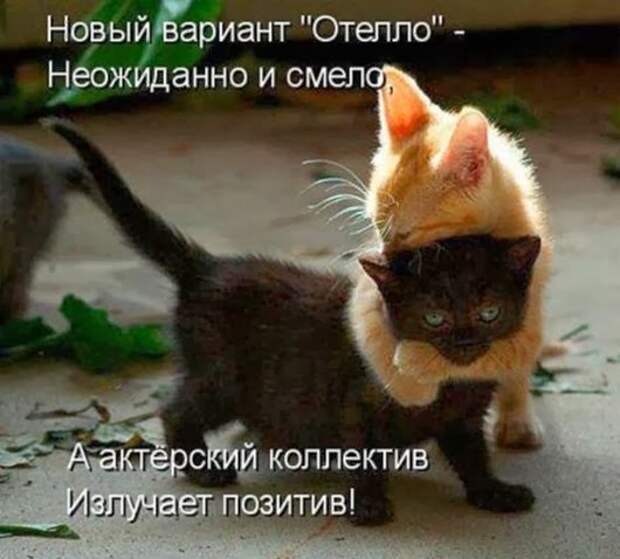 971360359a987042eb0836459af_prev