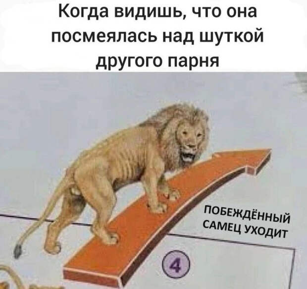 мем