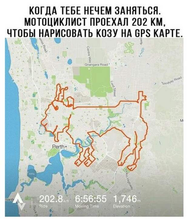 Подборка веселых фото и прикольных картинок с надписями (10 фото)