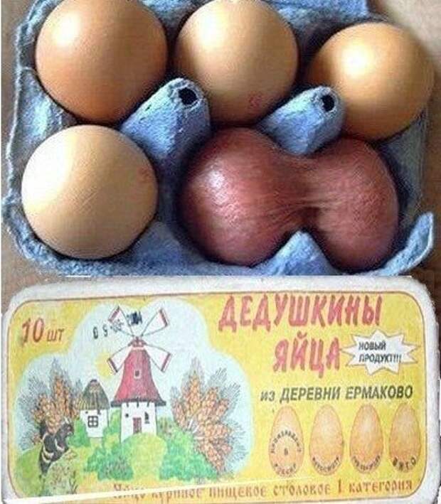 Смешные картинки картинки, подборка, смешные, фото