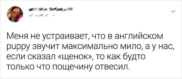 16 человек столкнулись с трудностями перевода и рассмешили всех вокруг