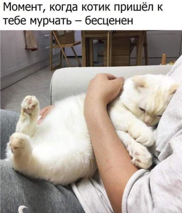 Вась, помнишь ту блондинку, с которой я в баре познакомился? Вась, помнишь ту блондинку, с которой я в баре познакомился?