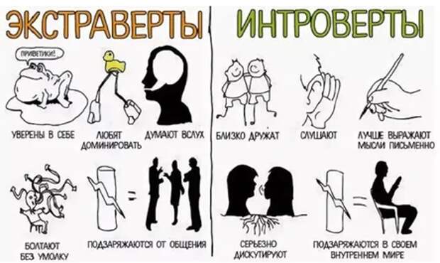 Характеристики Характеристики интровертов и экстравертов