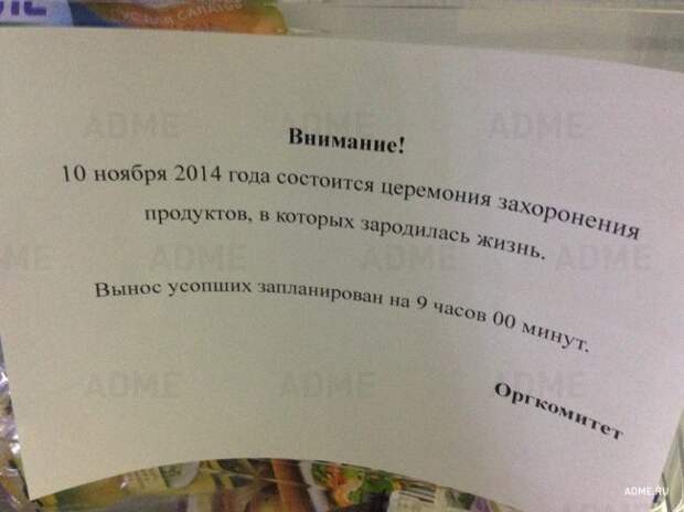 Записки из нескучного офиса