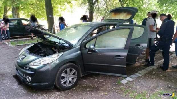 Поел шашлычков, покатался на машине