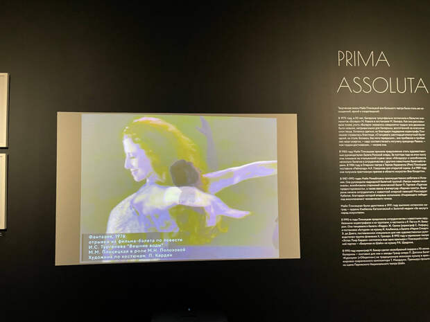 В Туле проходит крайне богатая на экспонаты выставка, посвященная Майе Плисецкой