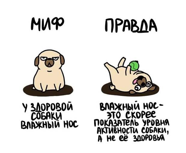 Любопытные коротенькие факты на все случаи жизни