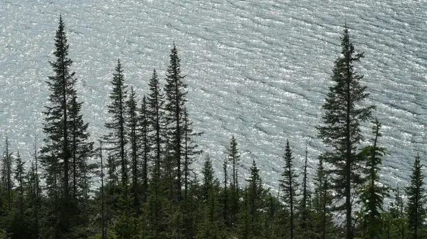 В Крыму предлагают в пять раз увеличить штрафы за сброс отходов в водоёмы