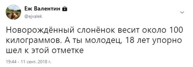 Юмор и комментарии из социальных сетей (25 скриншотов)
