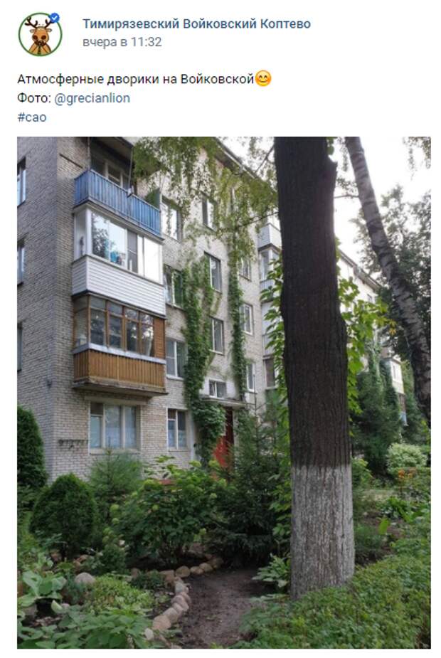 Фото дня: зеленые дворики в Войковском
