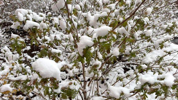 Daily Mail: в Европе из-за снегопада перекрыли дороги и отменили авиарейсы