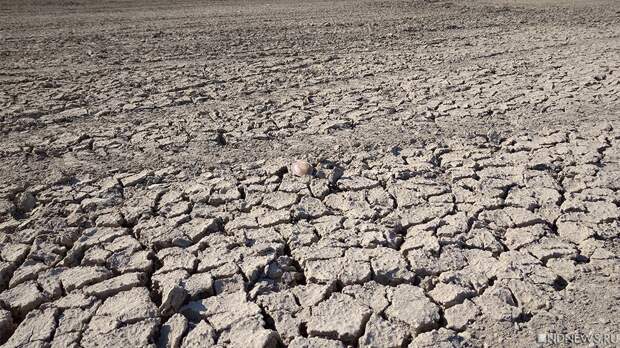 Нью-Дели изнывает от жары, людям не хватает воды