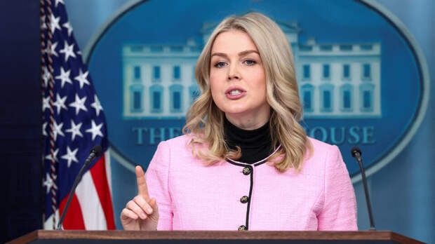 Ливитт: Трамп обсуждает с командой план покупки Гренландии