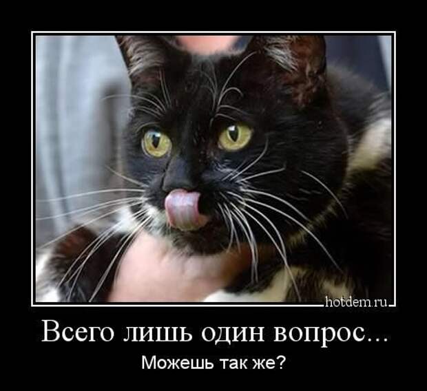Демотиваторы...