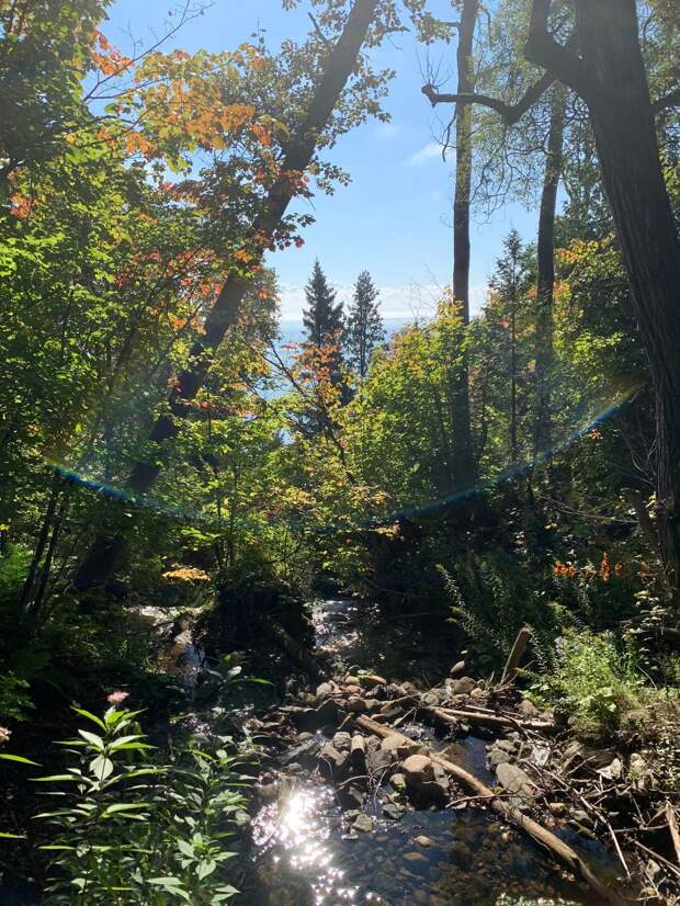 Красота природы на фотографиях