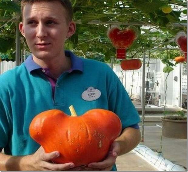 unusual-fruit-and-vegetables28