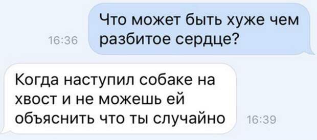 Подборка веселых фото и прикольных картинок с надписями (10 фото)