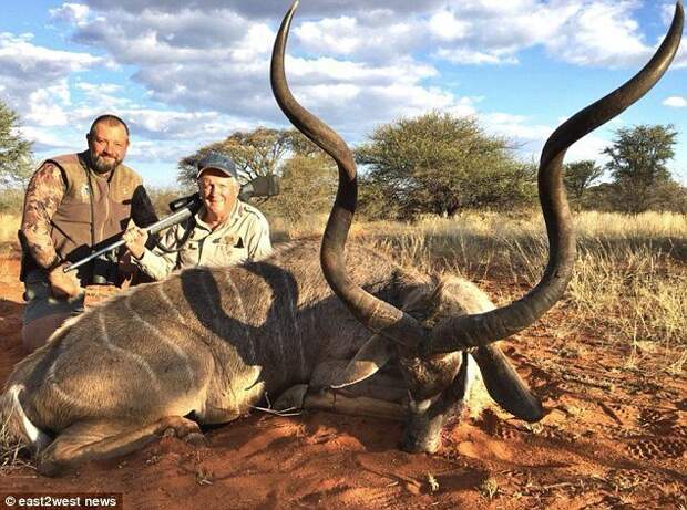 Бывший хирург зарабатывает $1 миллион в год на организации VIP-охоты в Африке бизнес, бизнесмены, дикие животные, животные, звери, охота, охотники, природа