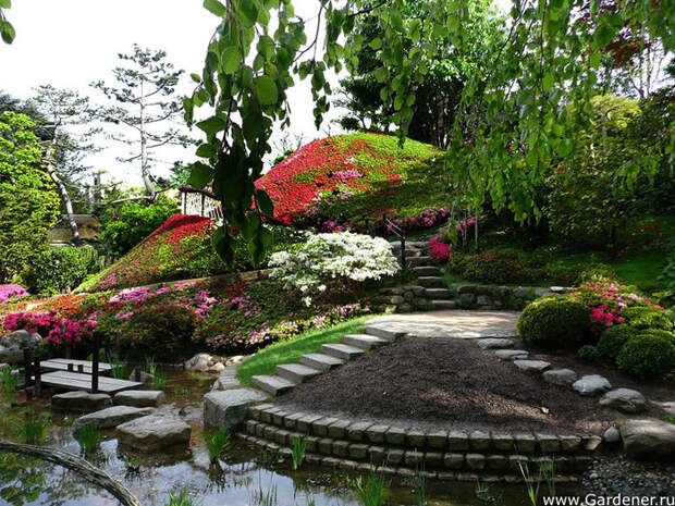 1[1] (700x525, 195Kb)