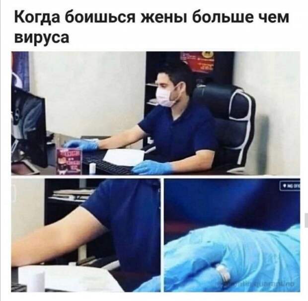 1601001859_11.jpg
