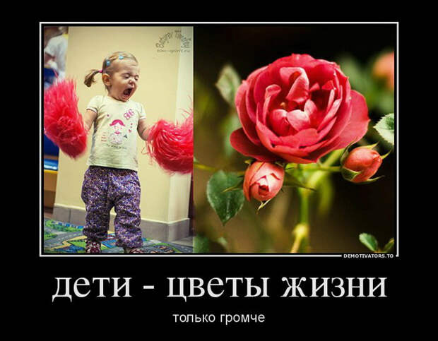 Демотиваторы и мотиваторы. Демотиваторы и веселые картинки_23-03-2013 Демотиваторы и мотиваторы. Демотиваторы и веселые картинки_23-03-2013