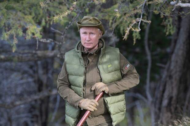 Путину показали медвежью берлогу и котят снежных барсов в Сибири