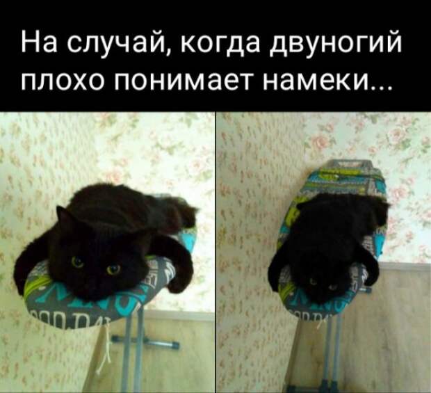 Немного картинок для настроения