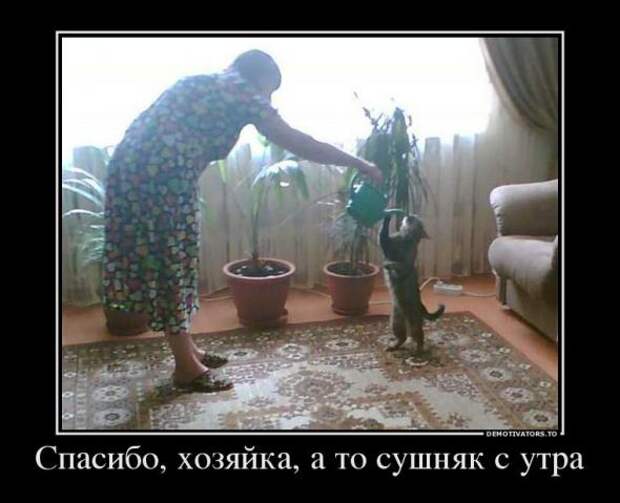 Немного новых демотиваторов