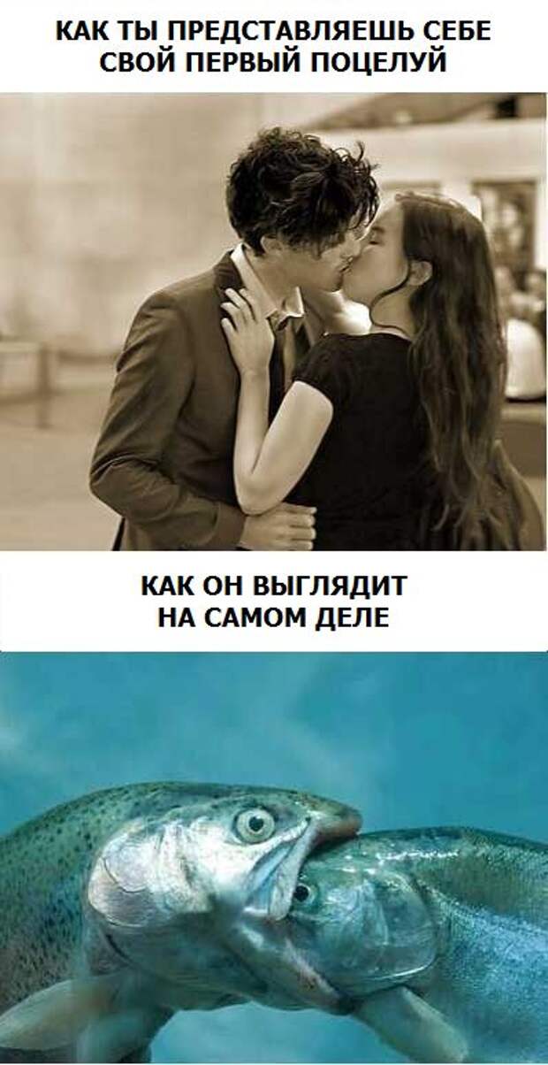 Приколизмы. приколизмы, cool, funny