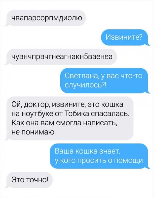 Девушка-ветеринар поделилась забавными переписками с ее клиентами
