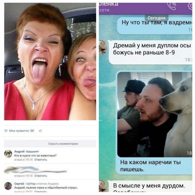 Новая партия уморительных коментариев из соцсетей