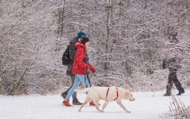 Облачно и снег: какая погода придет в Петербург 30 декабря